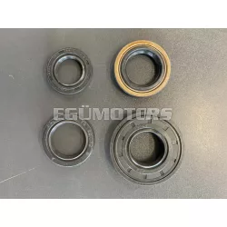   Ariete motor szimering készlet 11896, Malaguti F10, CY 50cc, Evolis, CRZ, Jog