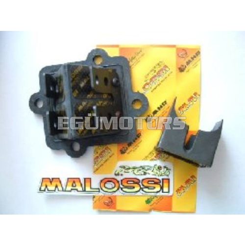 Pacco lamellare MALOSSI M277731.C0 