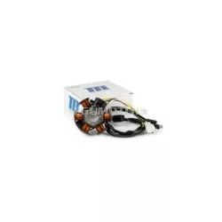 Ignition Stator Motoforce 80W Derbi / AM6 (Ducati)
