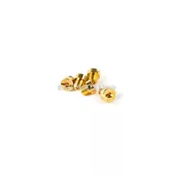 Main Jet Set 60 (x5) Dell'Orto 6mm
