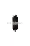 Radiator Motoforce Beta RR