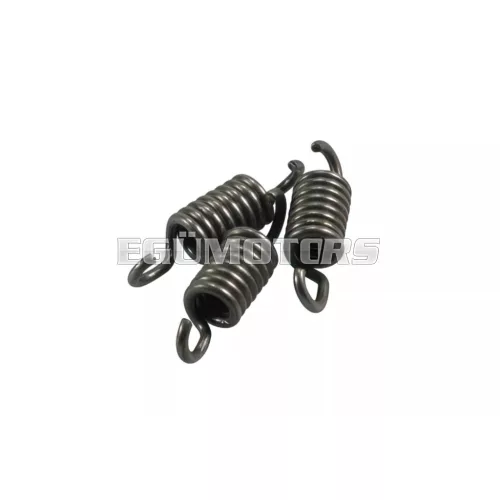 Clutch Spring Set 107mm Minarelli