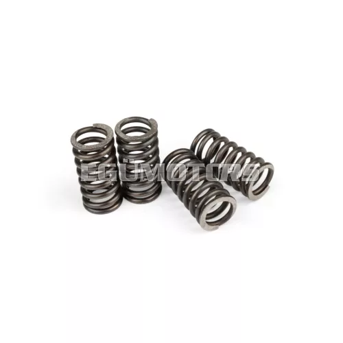 Clutch Springs OEM quality AM6