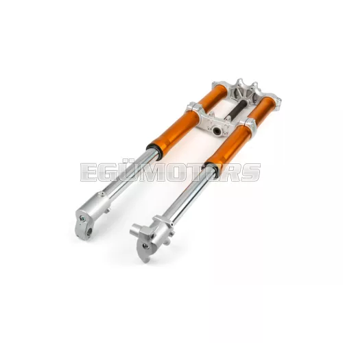 Inverted Fork Rieju MRT Pro