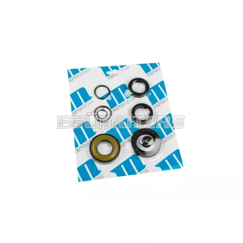 Oil Seal Set Piaggio