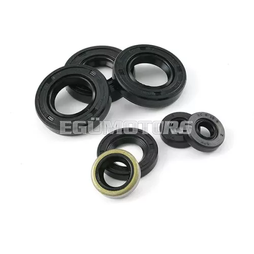 Oil Seal Set Derbi Euro 3 (D50B0)