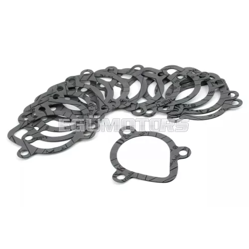 Water Pump Gasket Derbi Euro 2 (EBE / EBS)