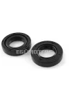 Oil Seals crankshaft Derbi