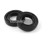 Oil Seals crankshaft Derbi