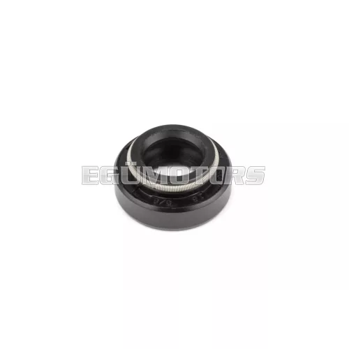 Oil Seal water pump 10x18x8mm AM6