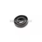 Oil Seal water pump 10x18x8mm AM6