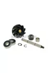 Water Pump Repair Kit Gilera Runner / Italjet Dragster 125-180cc 2T