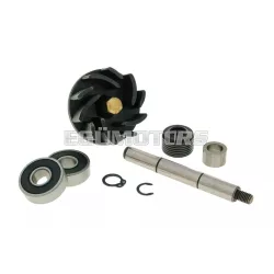   Water Pump Repair Kit Gilera Runner / Italjet Dragster 125-180cc 2T
