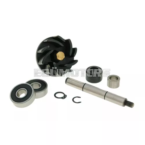 Water Pump Repair Kit Gilera Runner / Italjet Dragster 125-180cc 2T