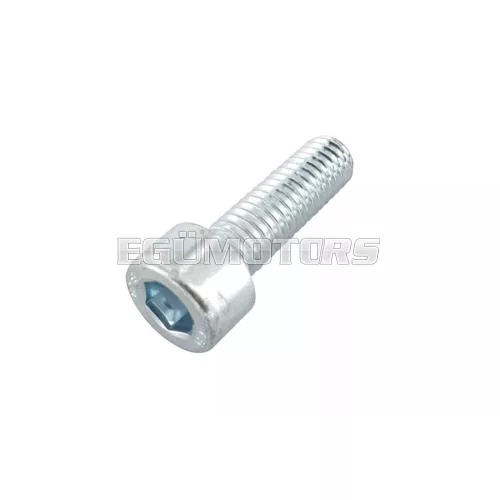 Screw M6x20mm