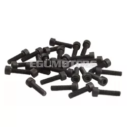 Screw M6x25mm