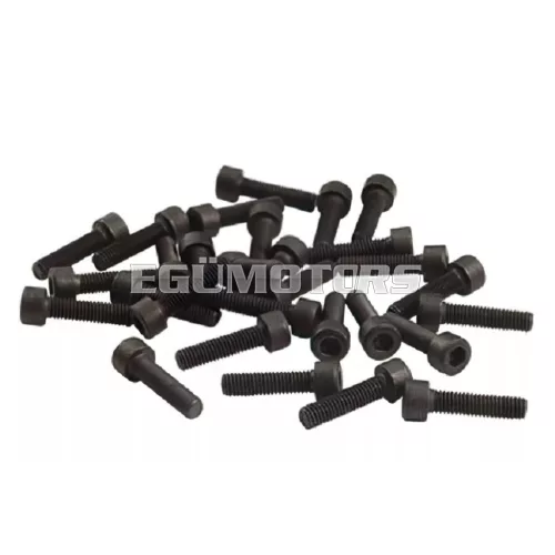 Screw M6x25mm