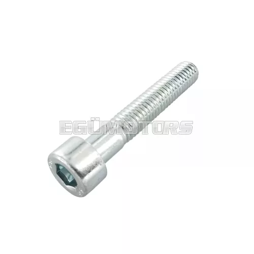 Screw M6x35mm Minarelli / Piaggio / China 2-stroke