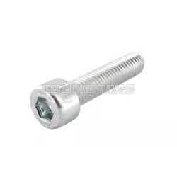 Screw M8x35mm
