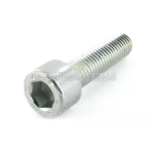 Screw M10x40 cylinder head DIN 912 / 8.8