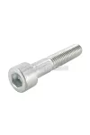 Screw M10x55mm