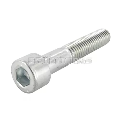 Screw M10x55mm