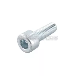 Screw M8x25mm