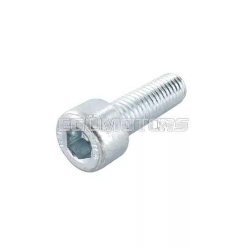 Screw M8x25mm