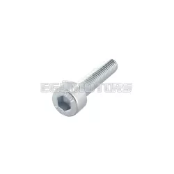 Screw M5x22mm
