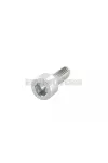 Screw M6x16mm