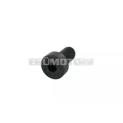 Screw M5x10mm