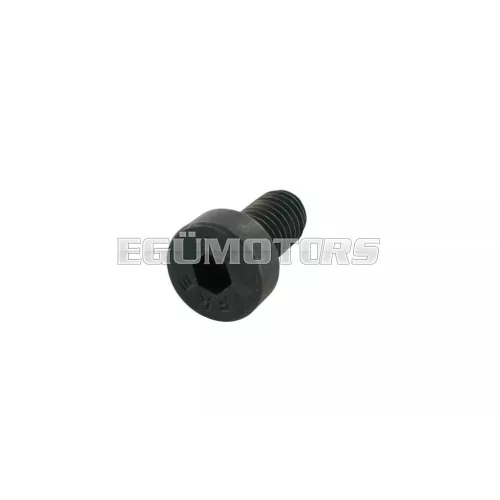 Screw M5x10mm