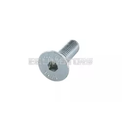 Screw (flat head) M5x16mm