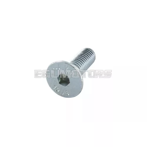 Screw (flat head) M5x16mm