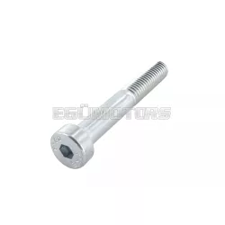 Screw M5x35mm