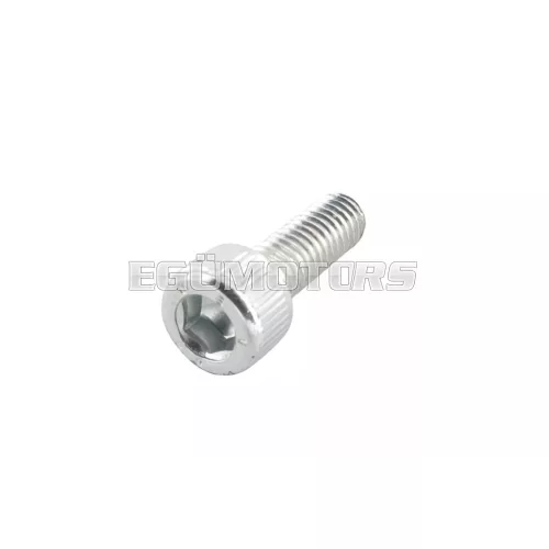 Screw M6x18mm