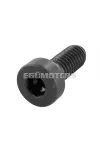 Screw M4x10 / steel black pan head DIN 6912 / 8.8