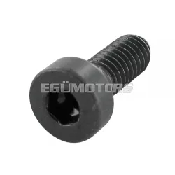Screw M4x10 / steel black pan head DIN 6912 / 8.8