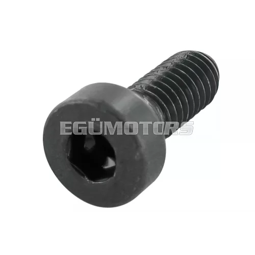 Screw M4x10 / steel black pan head DIN 6912 / 8.8