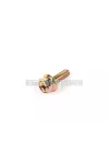 Exhaust Screw M6x18mm (x1)