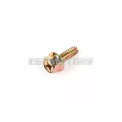 Exhaust Screw M6x18mm (x1)