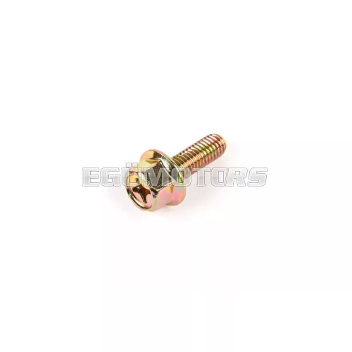 Exhaust Screw M6x18mm (x1)
