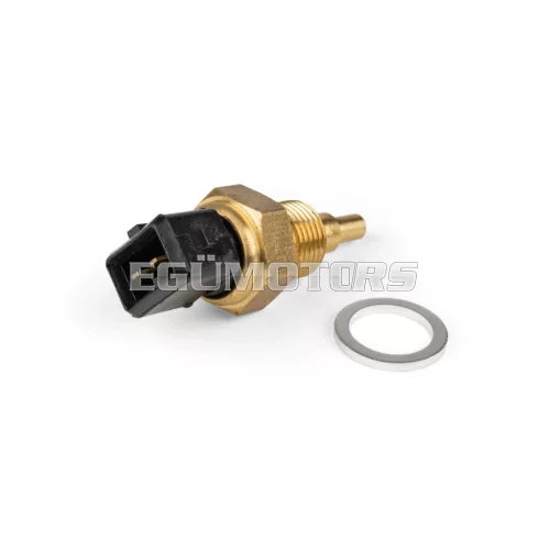 Temperature Sensor M14x1.25mm AM6 2-pin