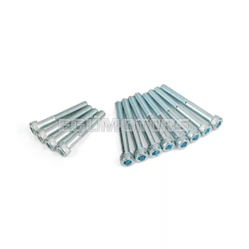 Screw Set crankcase Derbi Euro 3 / 4