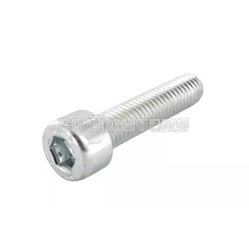 Screw M10x20mm