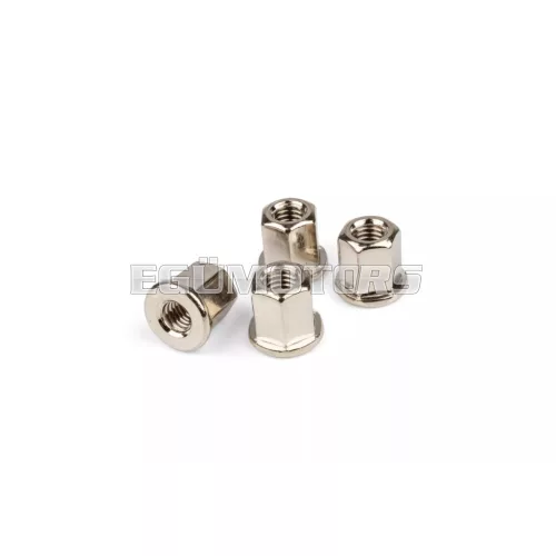 Cylinder Head Nut M6x1.00 (x4)
