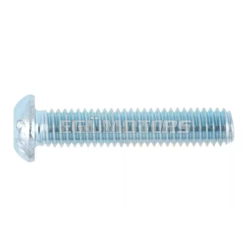 Screw (hex socket) M8x10 round head