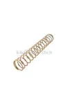 Slide Spring Mikuni TM24