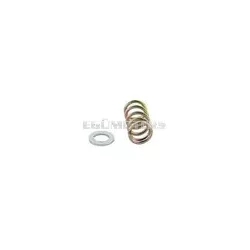 Idle Screw Spring + Washer Mikuni TM24