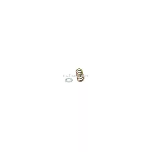 Idle Screw Spring + Washer Mikuni TM24